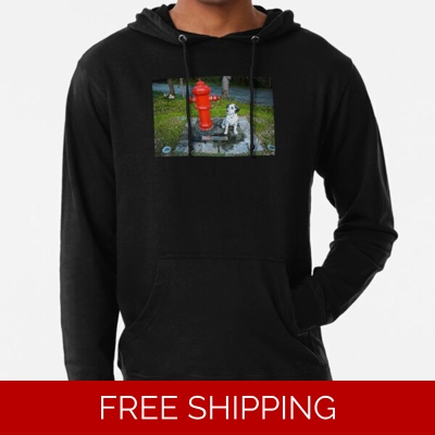 Le Studio Lightweight Hoodie Rush Signals Statue